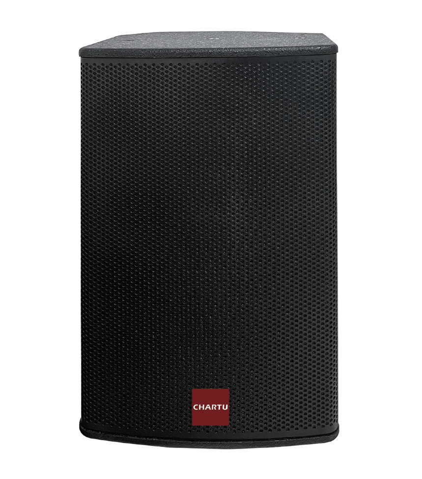 Professional loudspeaker (can be used as a monitor or full-range speaker)