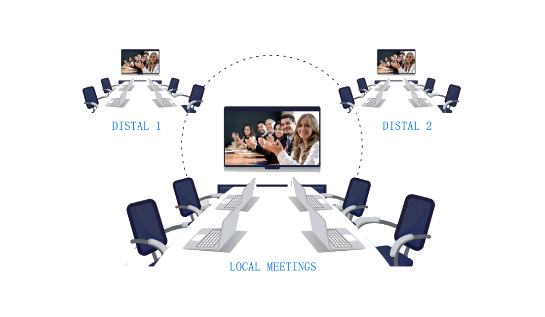 Videoconferencing Terminal